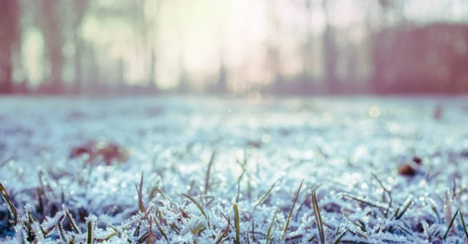 Temperatures could fall as low as -11C