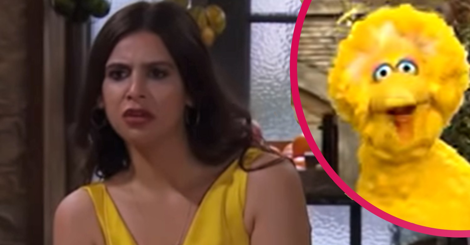 Emmerdale Meena looking cross and Big Bird