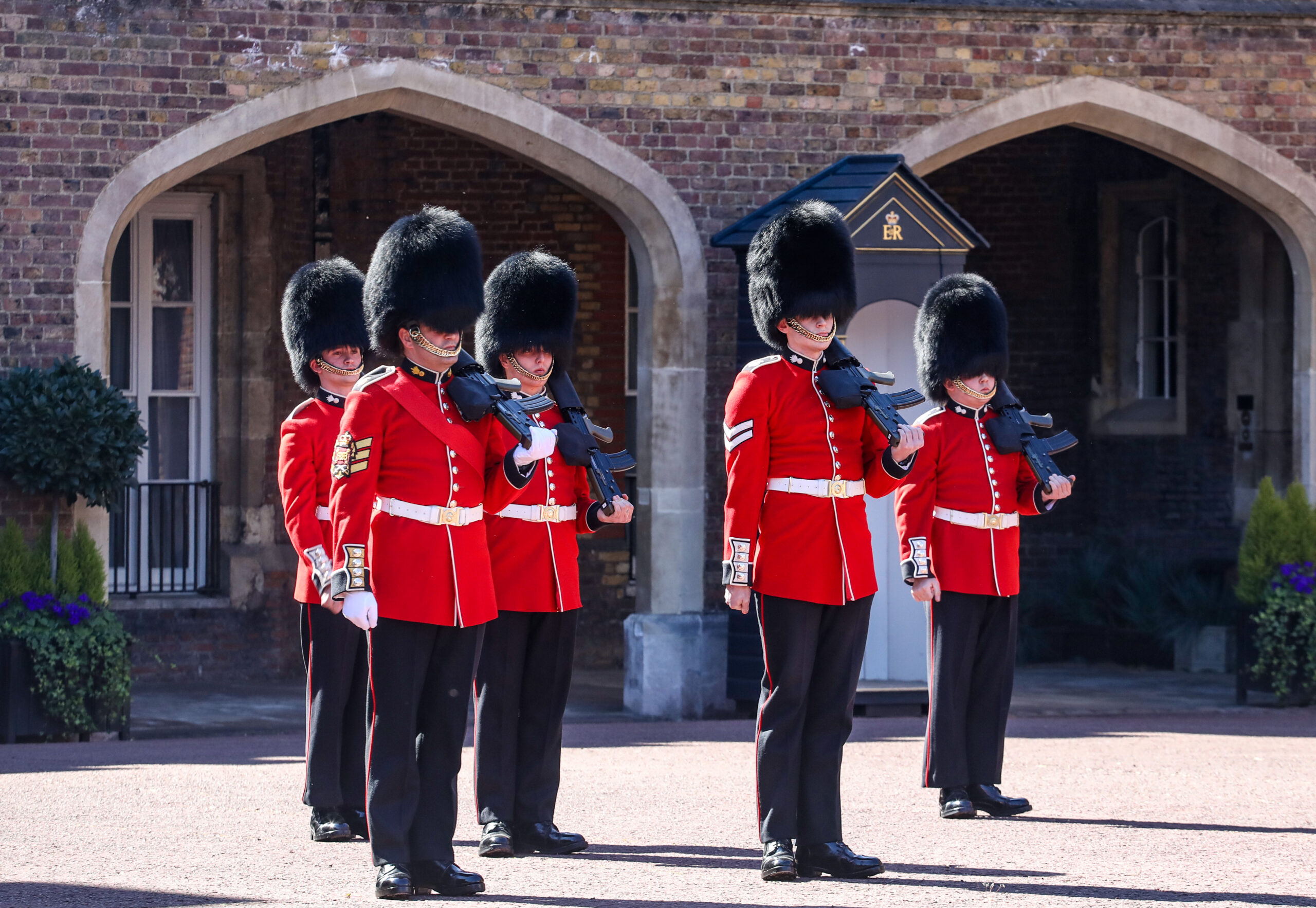 Pamela Anderson has written to Boris Johnson pleading for a change in royal tradition