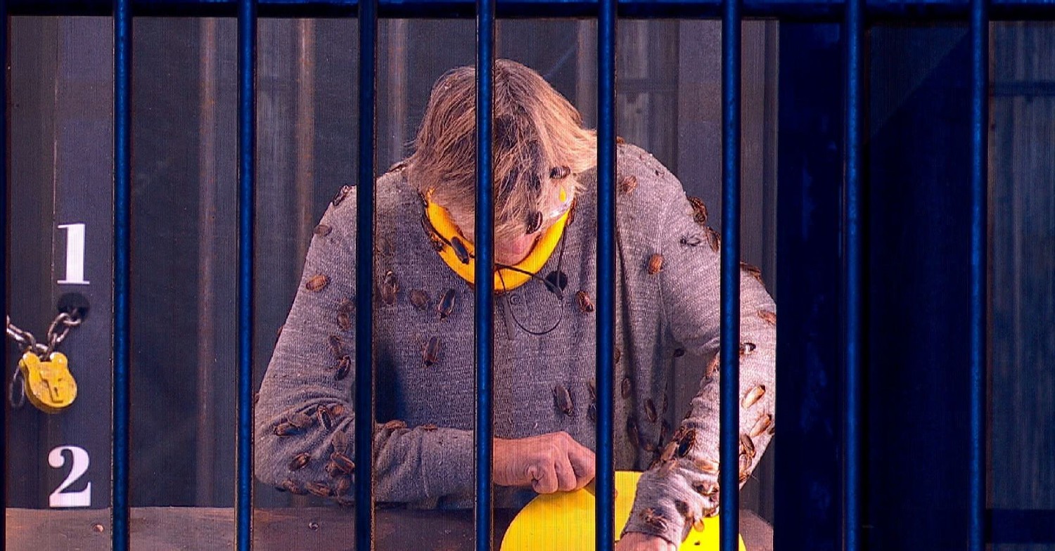 Richard Madeley I'm A Celebrity does first trial