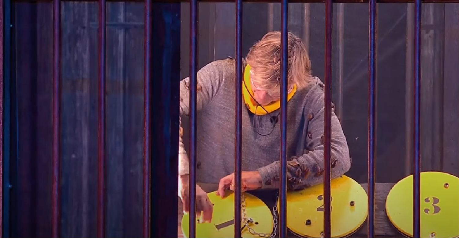 Richard Madeley on I'm A Celebrity