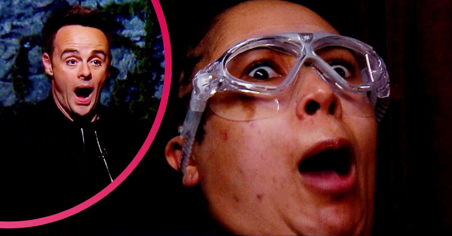 I'm A Celebrity tonight