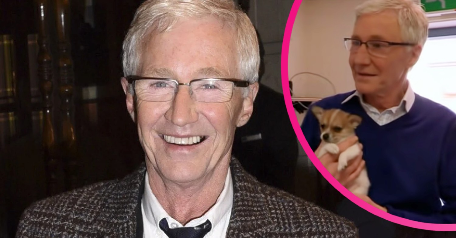 Paul O'Grady For The Love Of Dogs