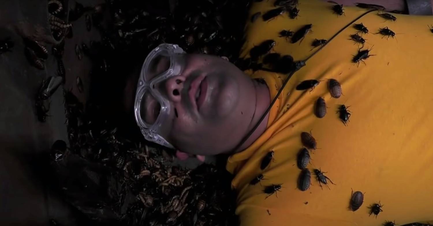 Naughty Boy took on Treacherous Traps on I'm A Celebrity