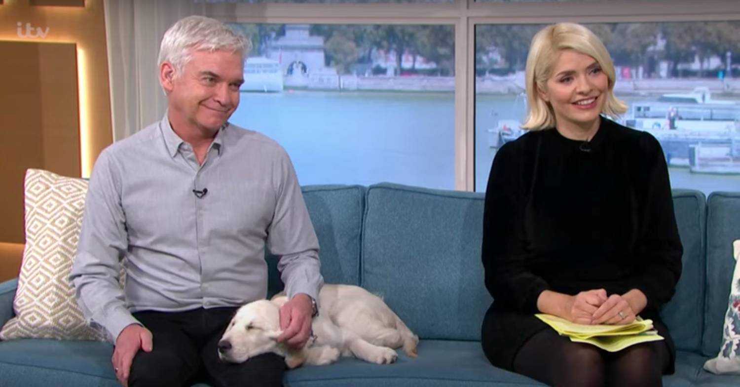 Holly Willoughby, Phillip Schofield and Bailey