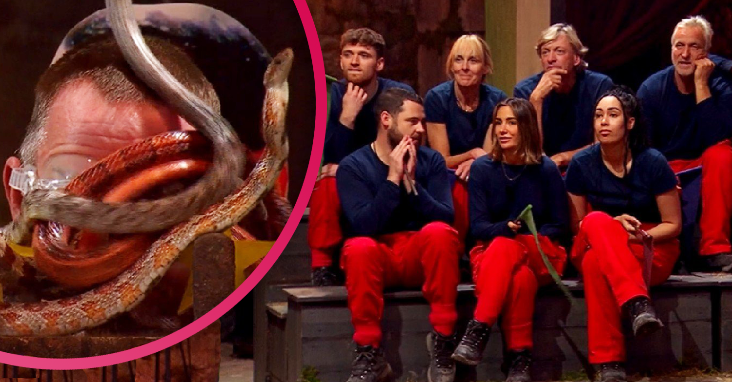 I'm a celebrity cast