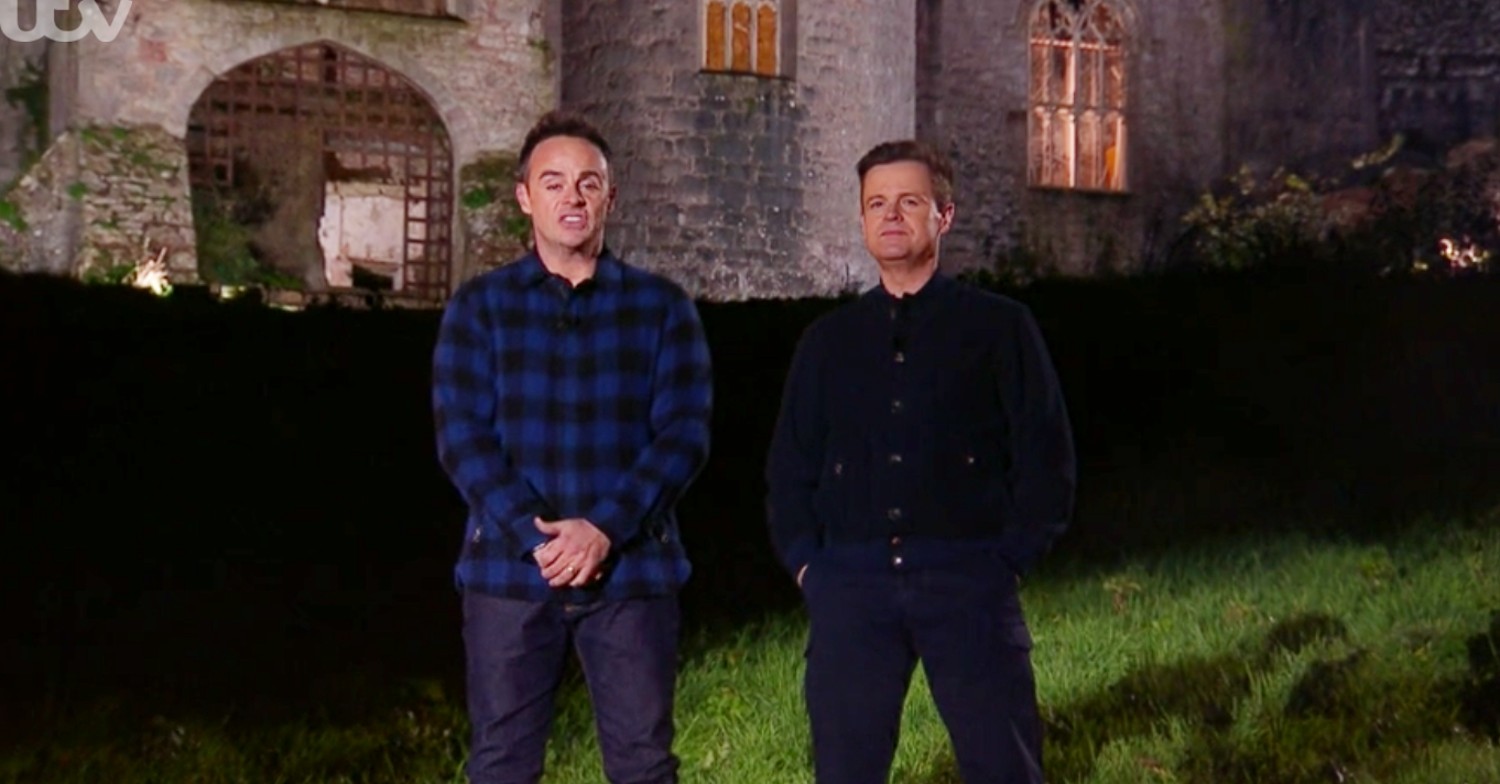 Ant and Dec in front of I'm A Celebrity castle