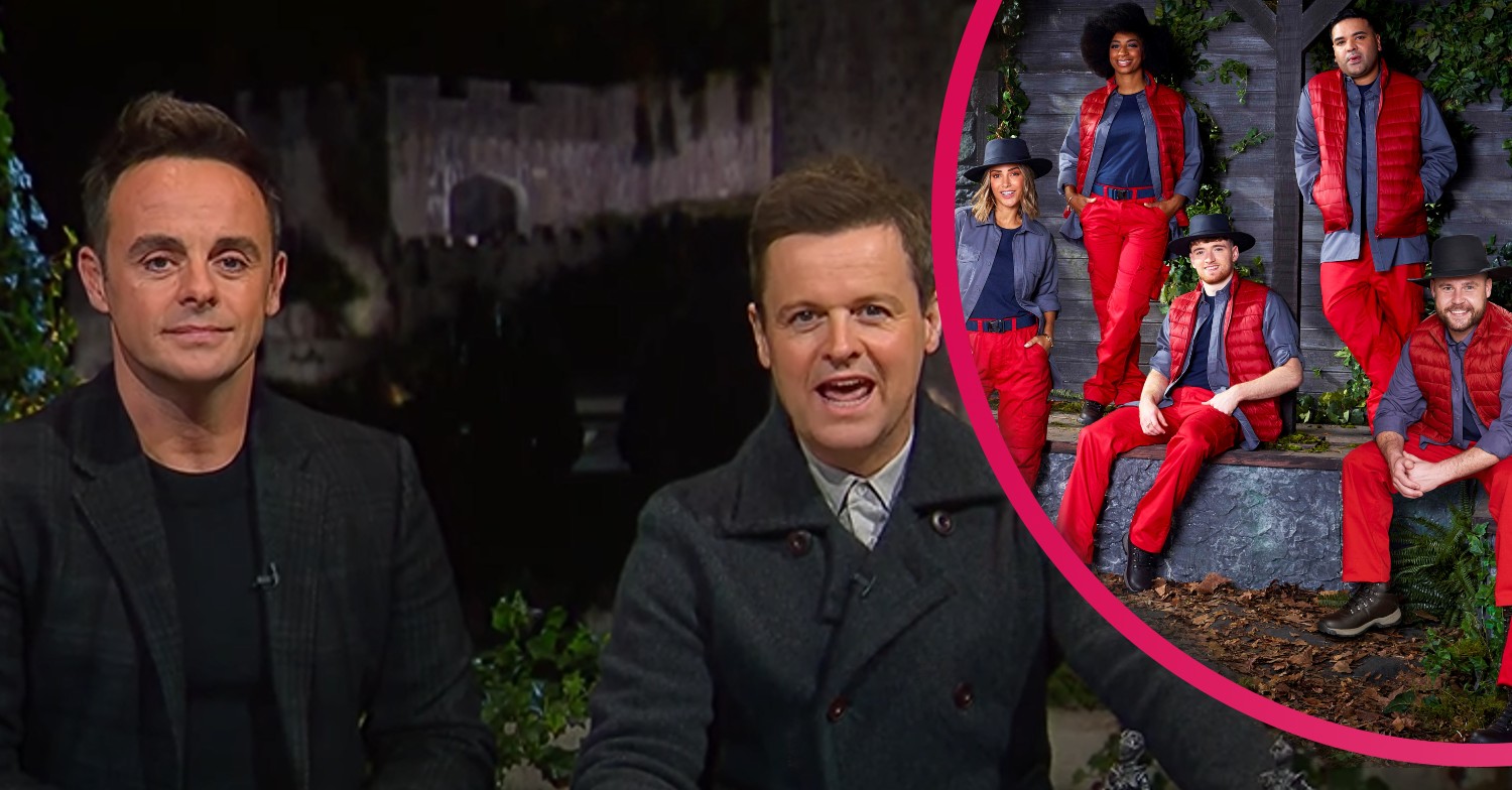 Ant and Dec and I'm A Celebrity 2021 stars