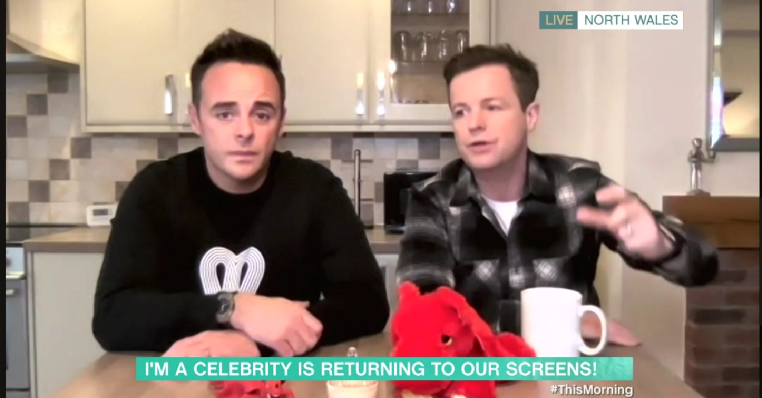 Ant and Dec I'm A Celebrity