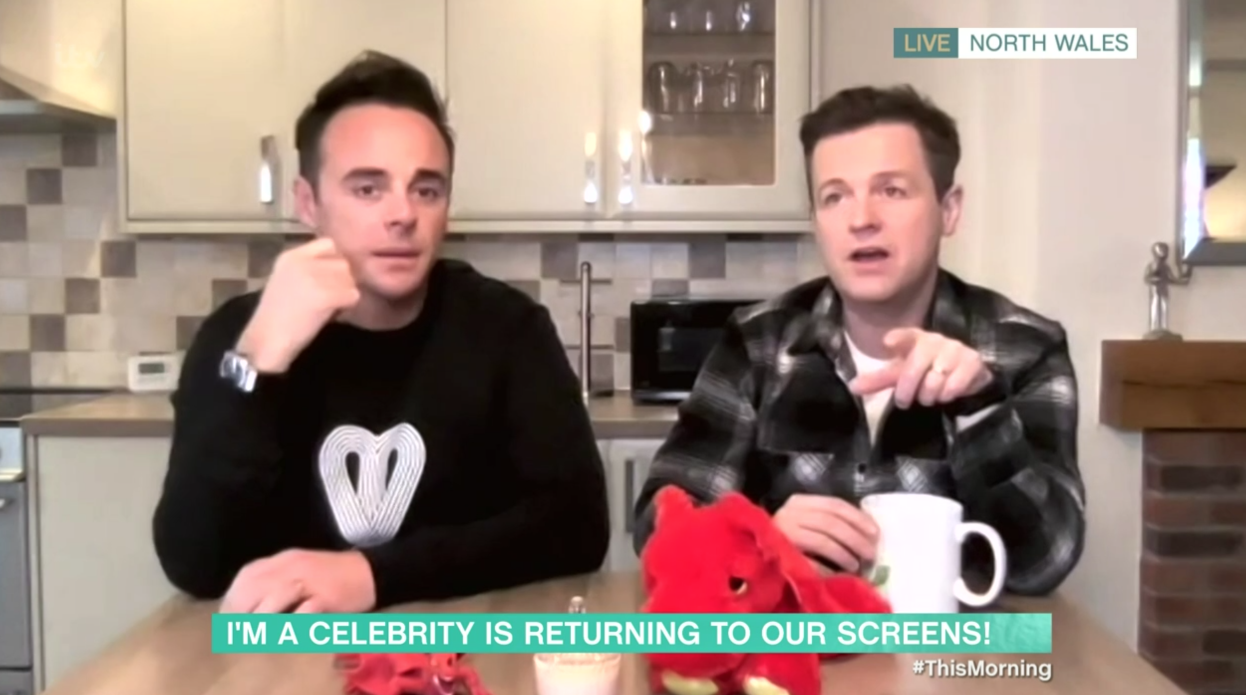 I'm a celebrity castle