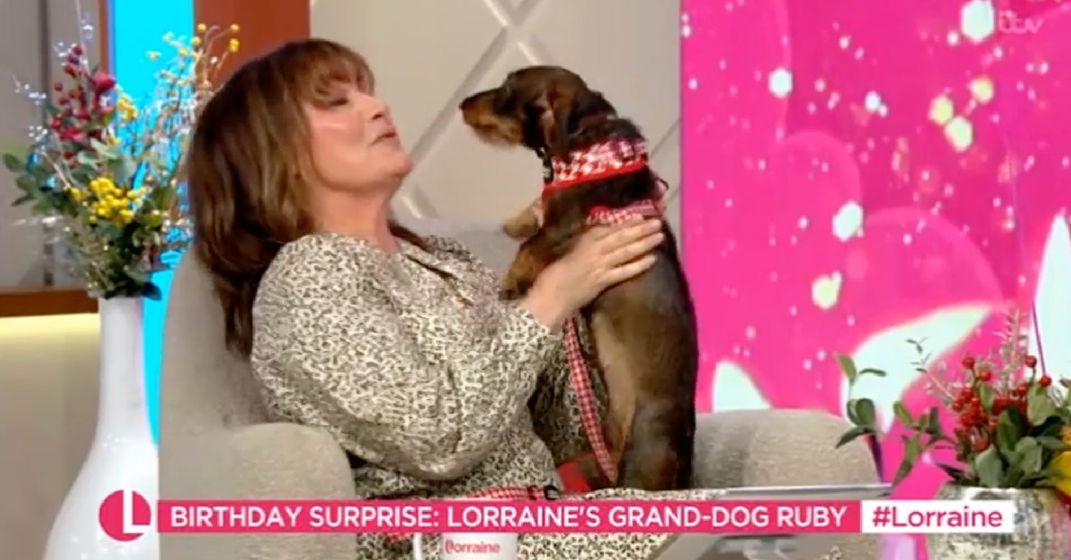 Lorraine was peed on by excited Puppy Ruby today