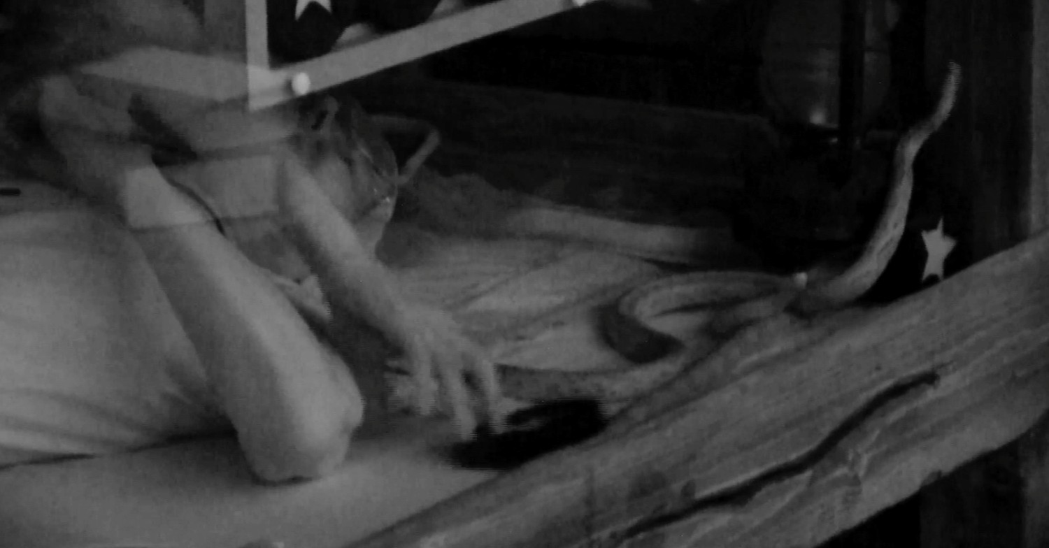 I'm A Celebrity tonight