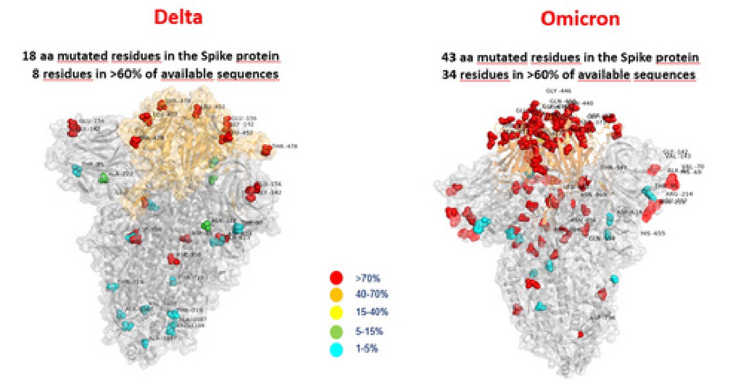 Omicron versus Delta spread graphic