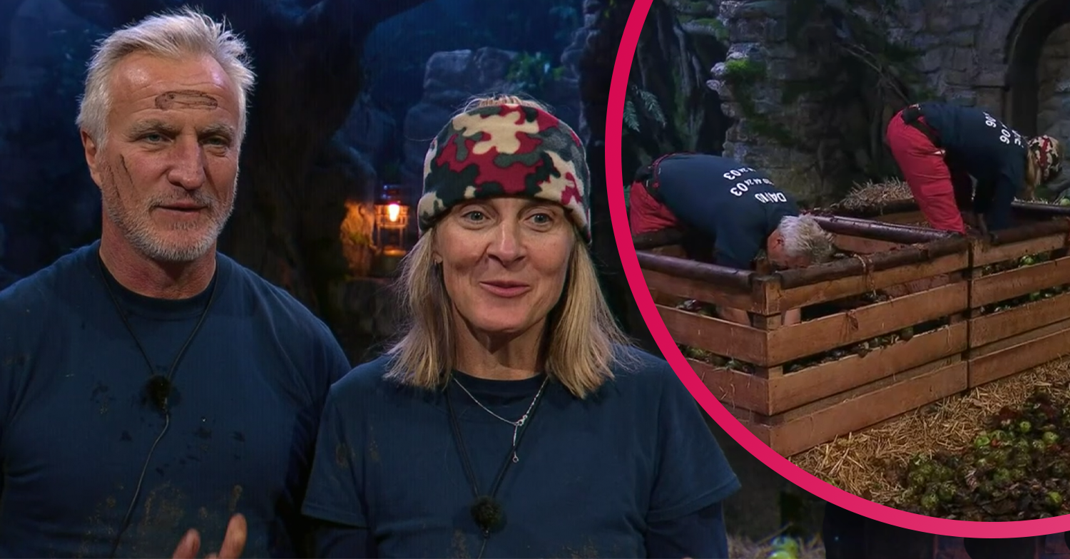 I'm a celebrity david