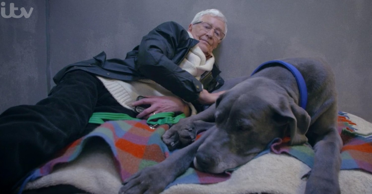 Paul O'Grady on For The Love Of Dogs