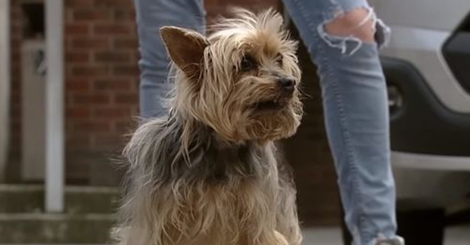 David is rarely seen on Coronation Street these days