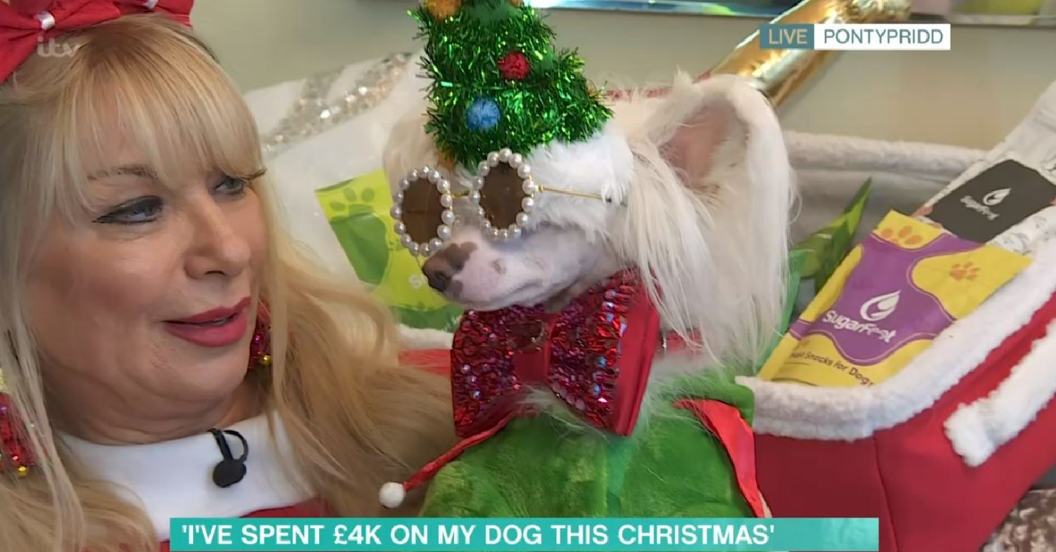 Fabio the dog on This Morning today