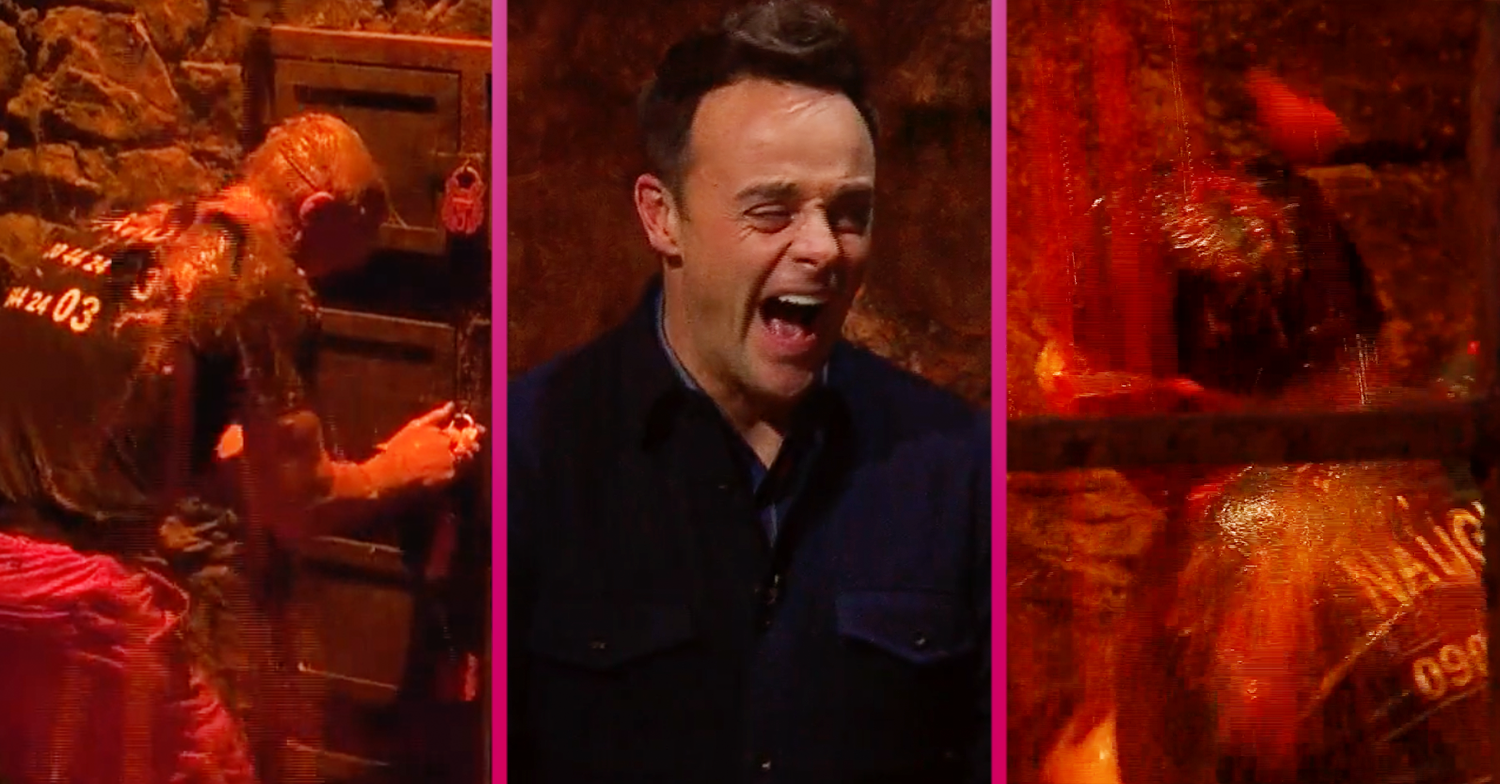 I'm a celebrity naughty boy