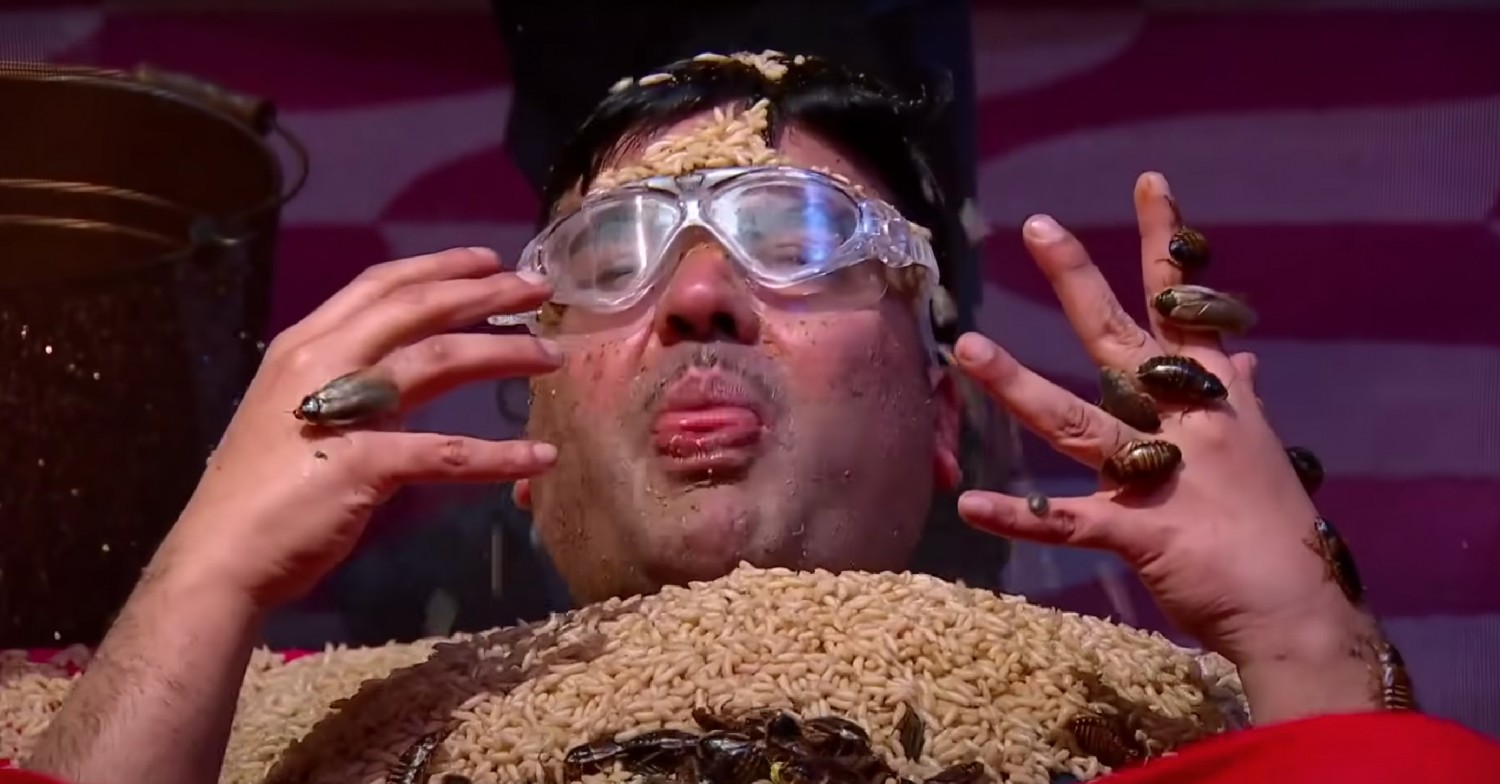 naughty boy covered in bugs on i'm a celebrity