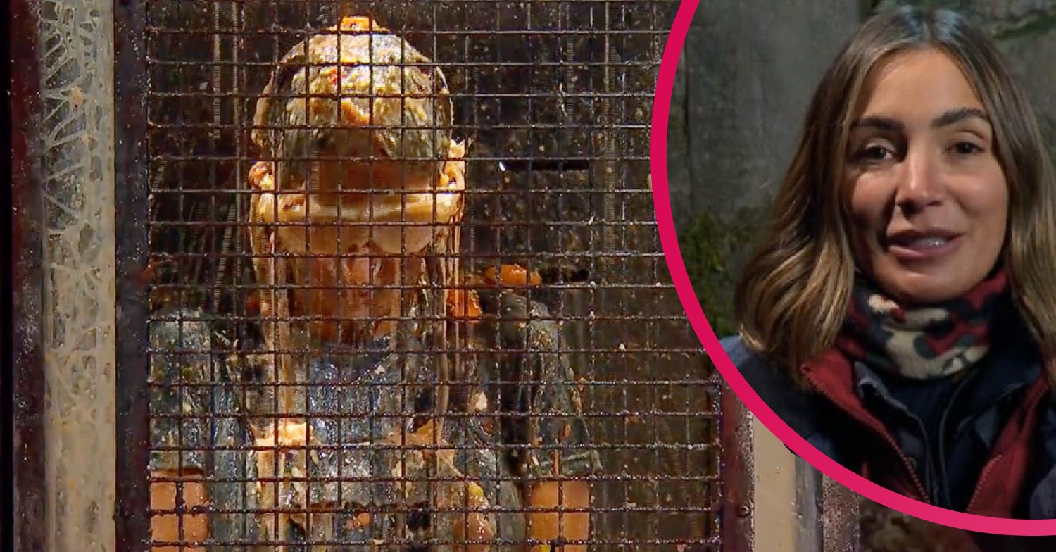 frankie bridge on i'm a celebrity