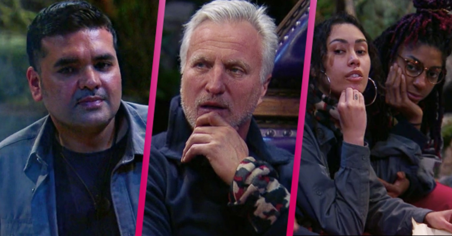 I'm A Celebrity star David Ginola