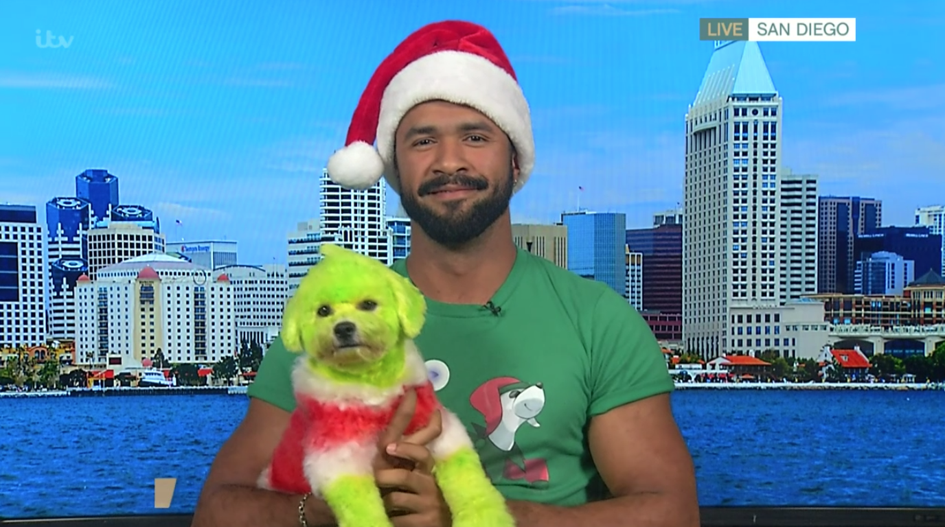 This Morning viewers branded dying dogs to look like The Grinch 'animal cruelty' today