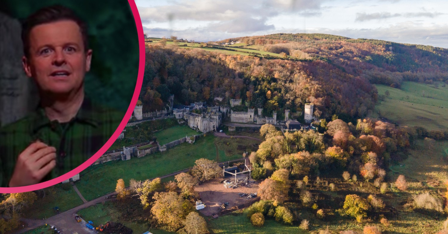 I'm A Celebrity tragic deaths