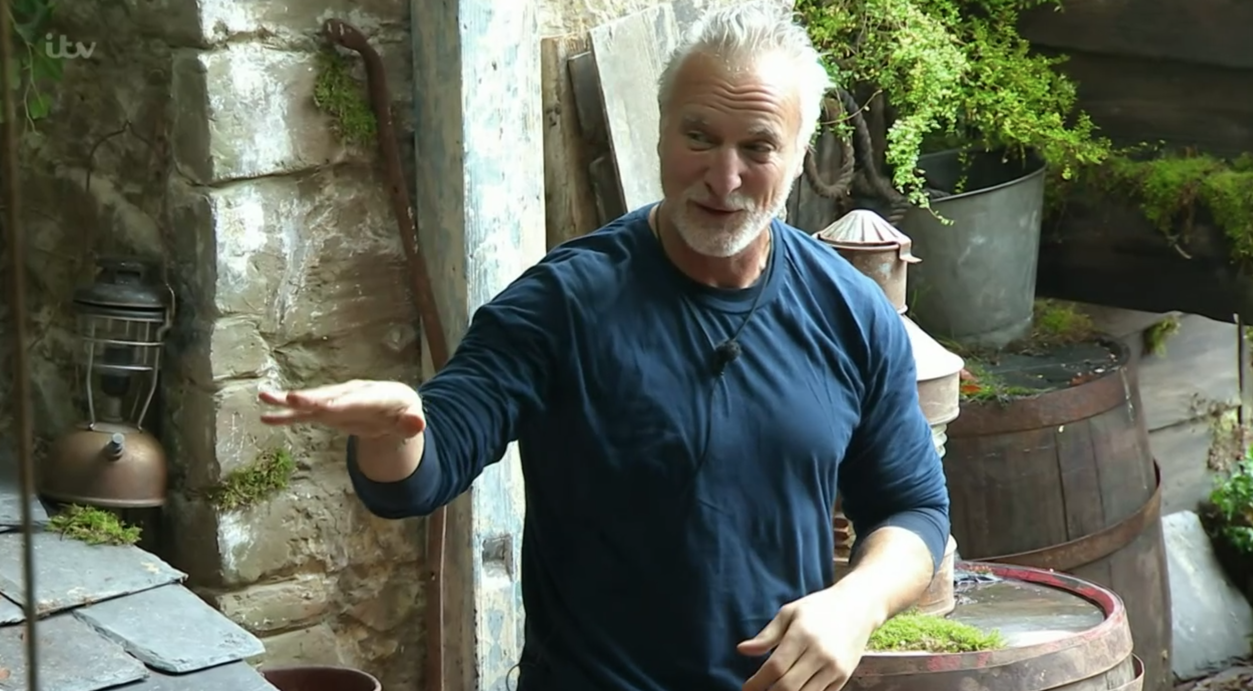 I'm a celebrity louise