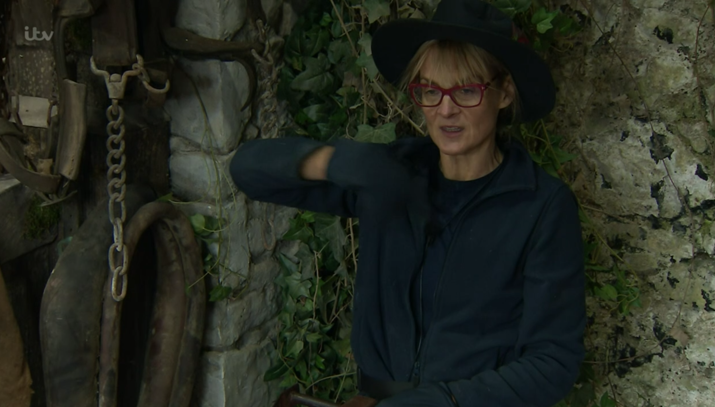 I'm a celebrity louise