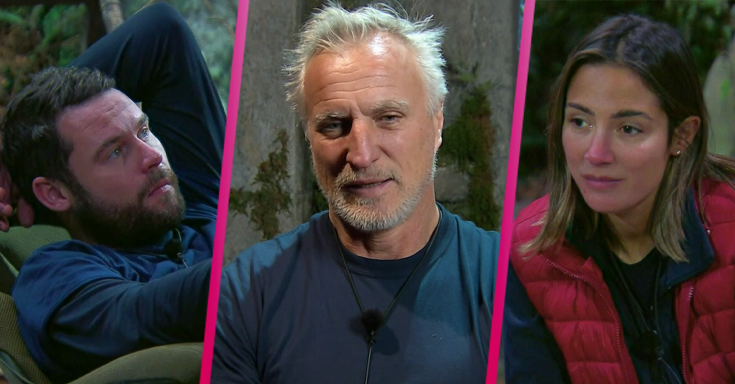 I'm a celebrity david