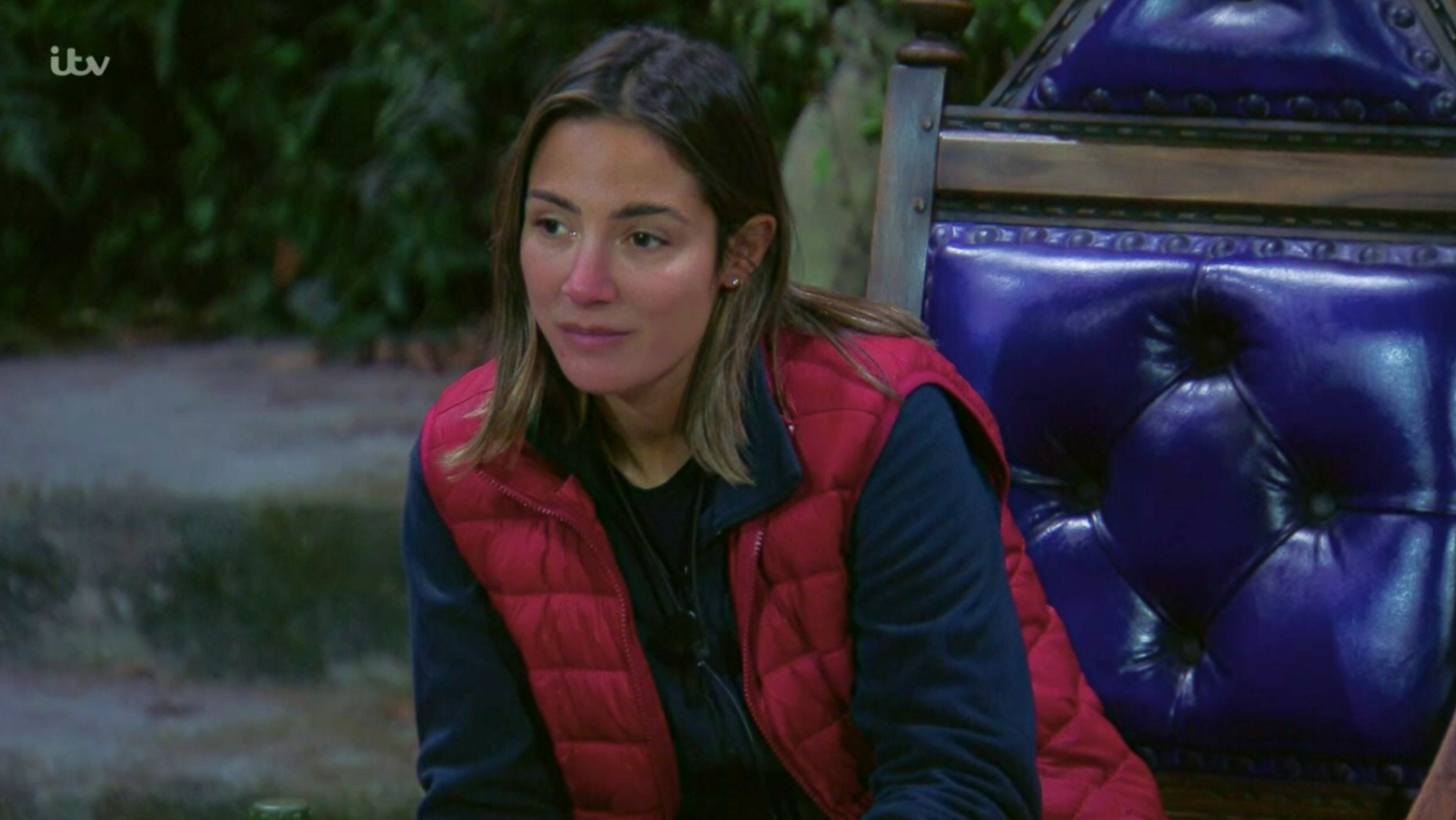 I'm a celebrity david