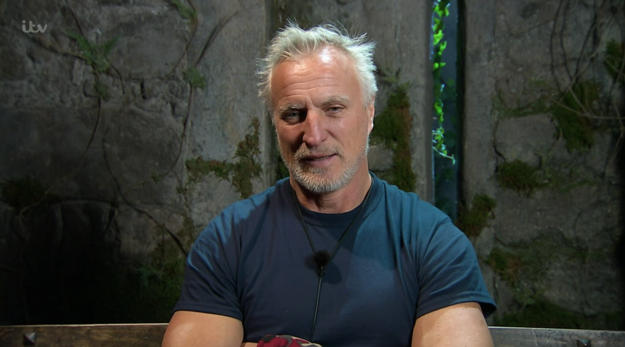 I'm a celebrity david