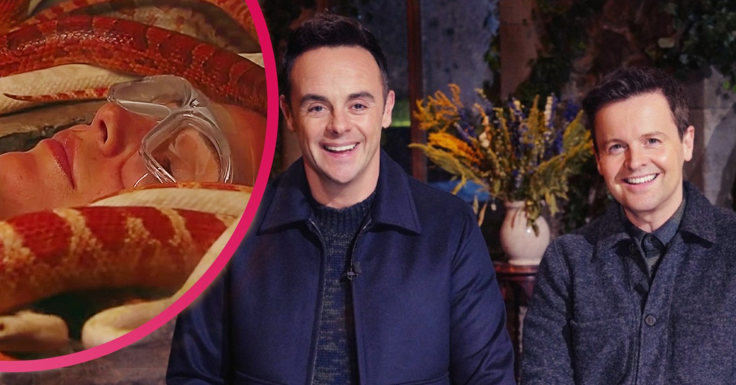 I'm A Celebrity has sparked Ofcom complaints over the use of live animals in trials