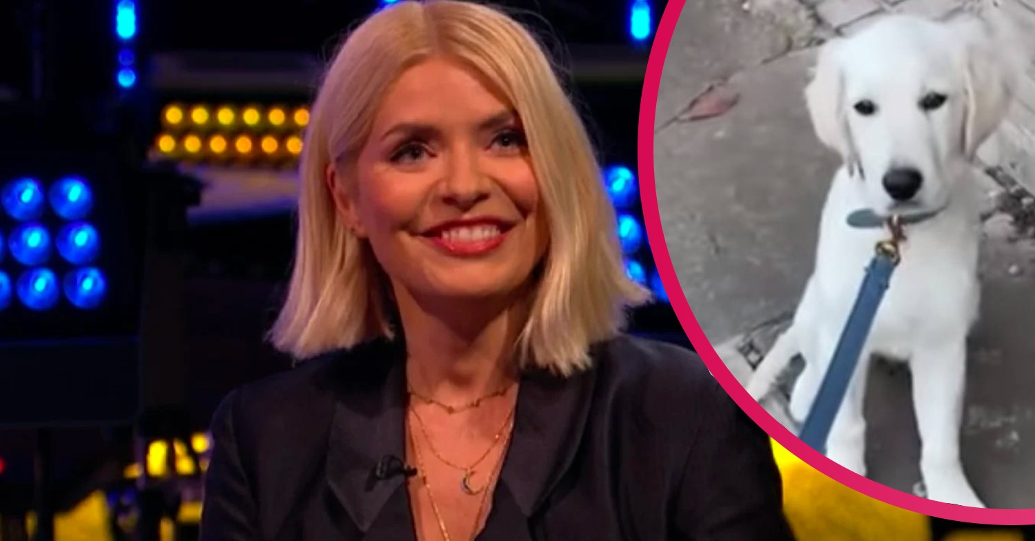 holly willoughby and bailey