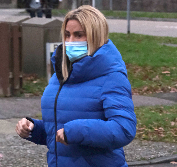 Katie Price trolled online after she shared a cute snap of young son