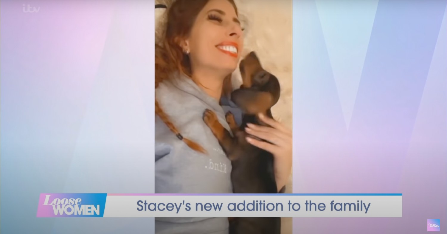stacey solomon dog