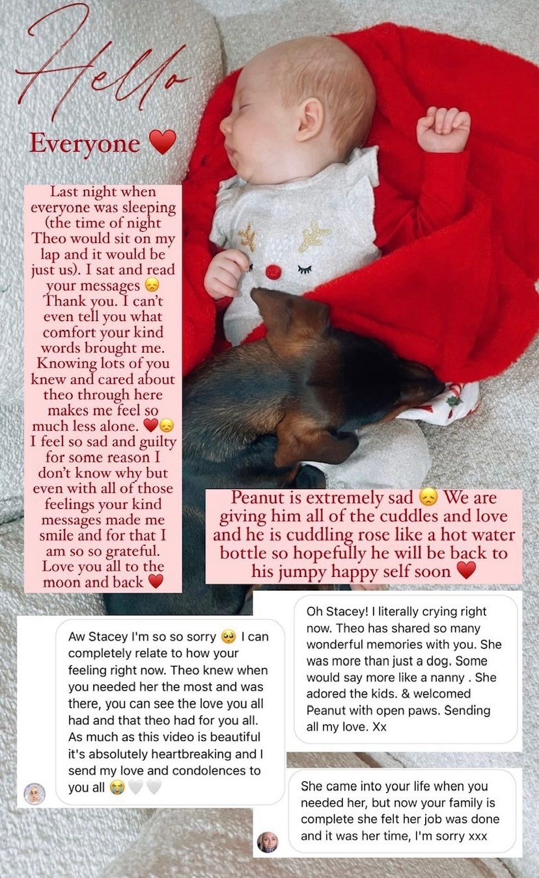 Stacey Solomon returns to Instagram after dog's death