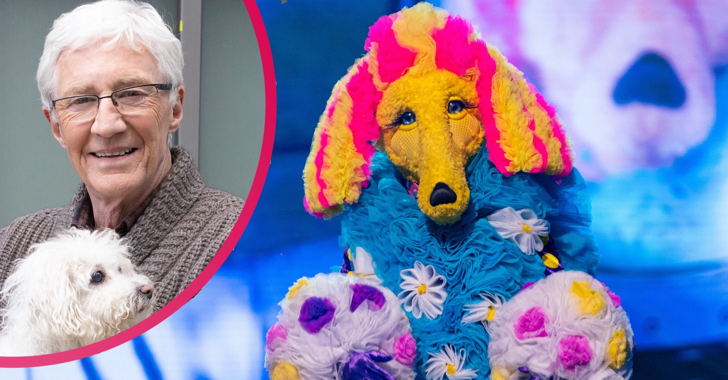 The Masked singer Paul O Grady Poodle