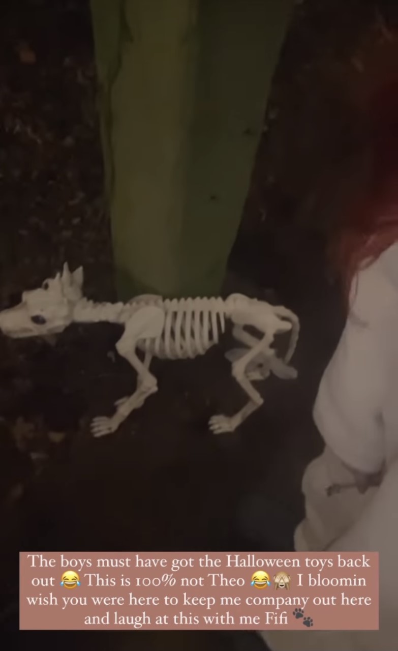 Stacey Solomon addresses fans on Instagtam