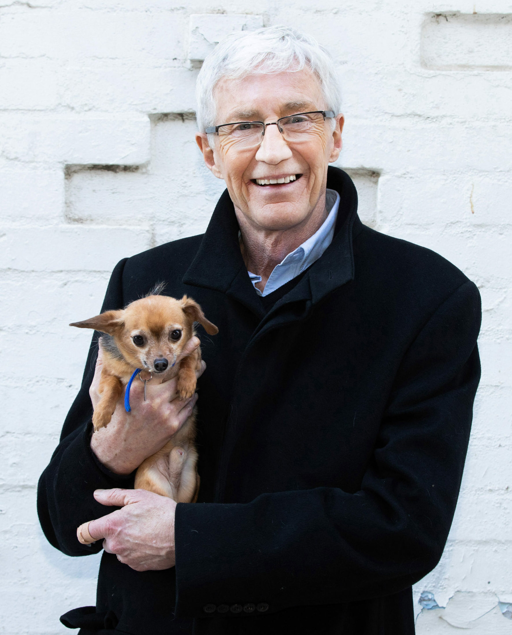 The Masked Singer 2022 fan theories: Is Paul O'Grady Poodle?