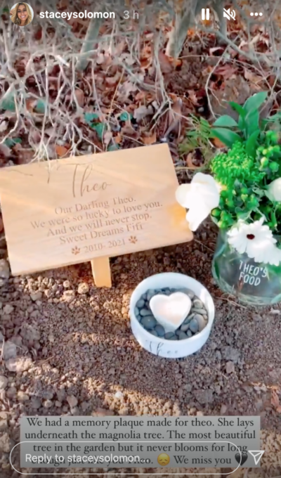 Stacey Solomon has revealed the last resting place of her dog Theo