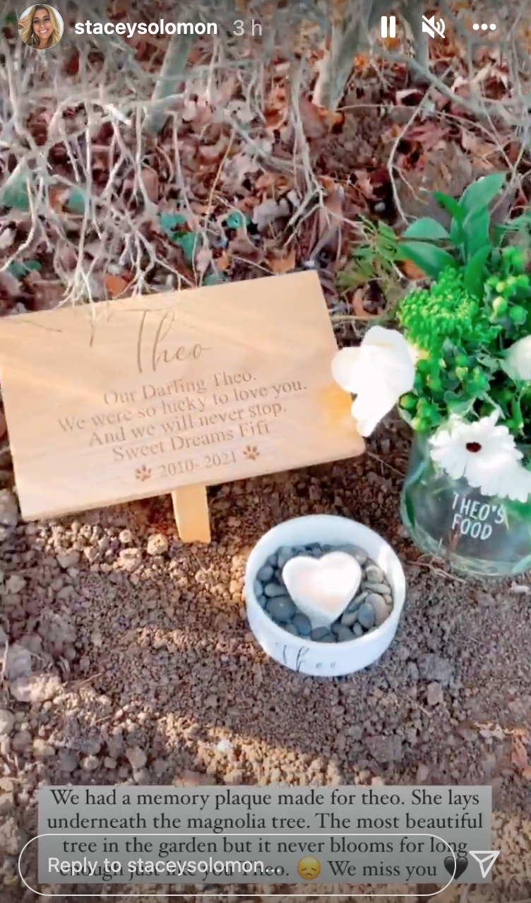 Stacey Solomon has revealed the last resting place of h er dog Theo