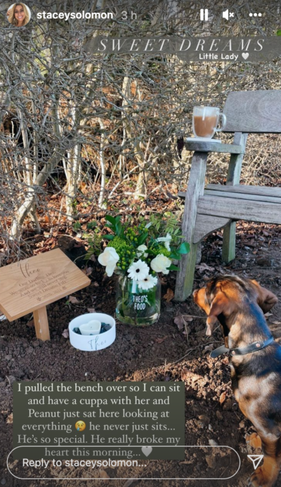 Stacey Solomon has revealed the last resting place of her dog Theo