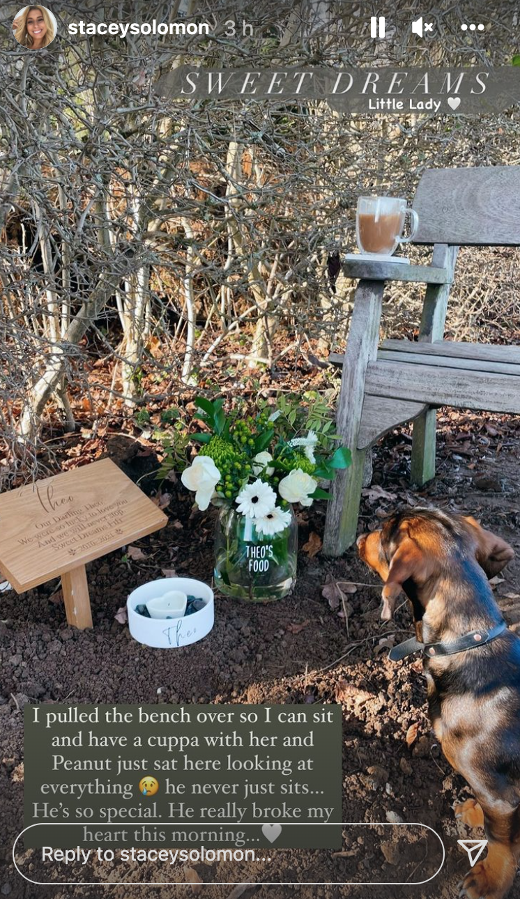 Stacey Solomon has revealed the last resting place of h er dog Theo