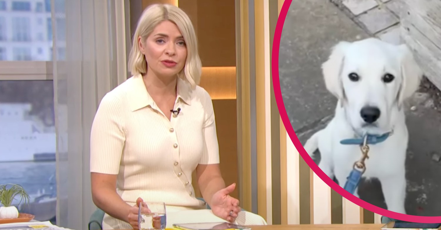 holly willoughby dog bailey