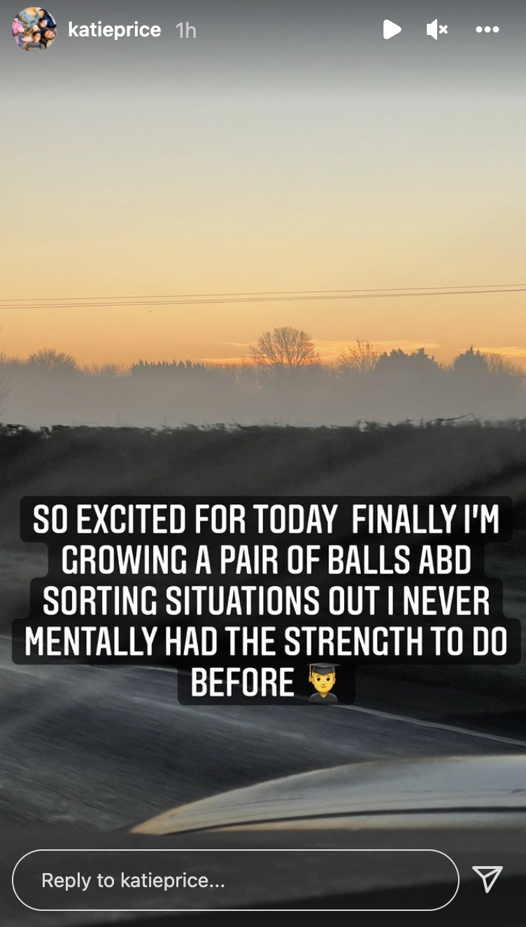 Katie Price Instagram story Jan 13