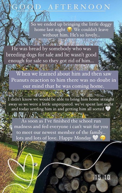 Stacey Solomon shares family news on Instagram