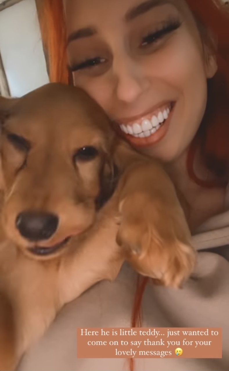Stacey Solomon introduces puppy after Theo death