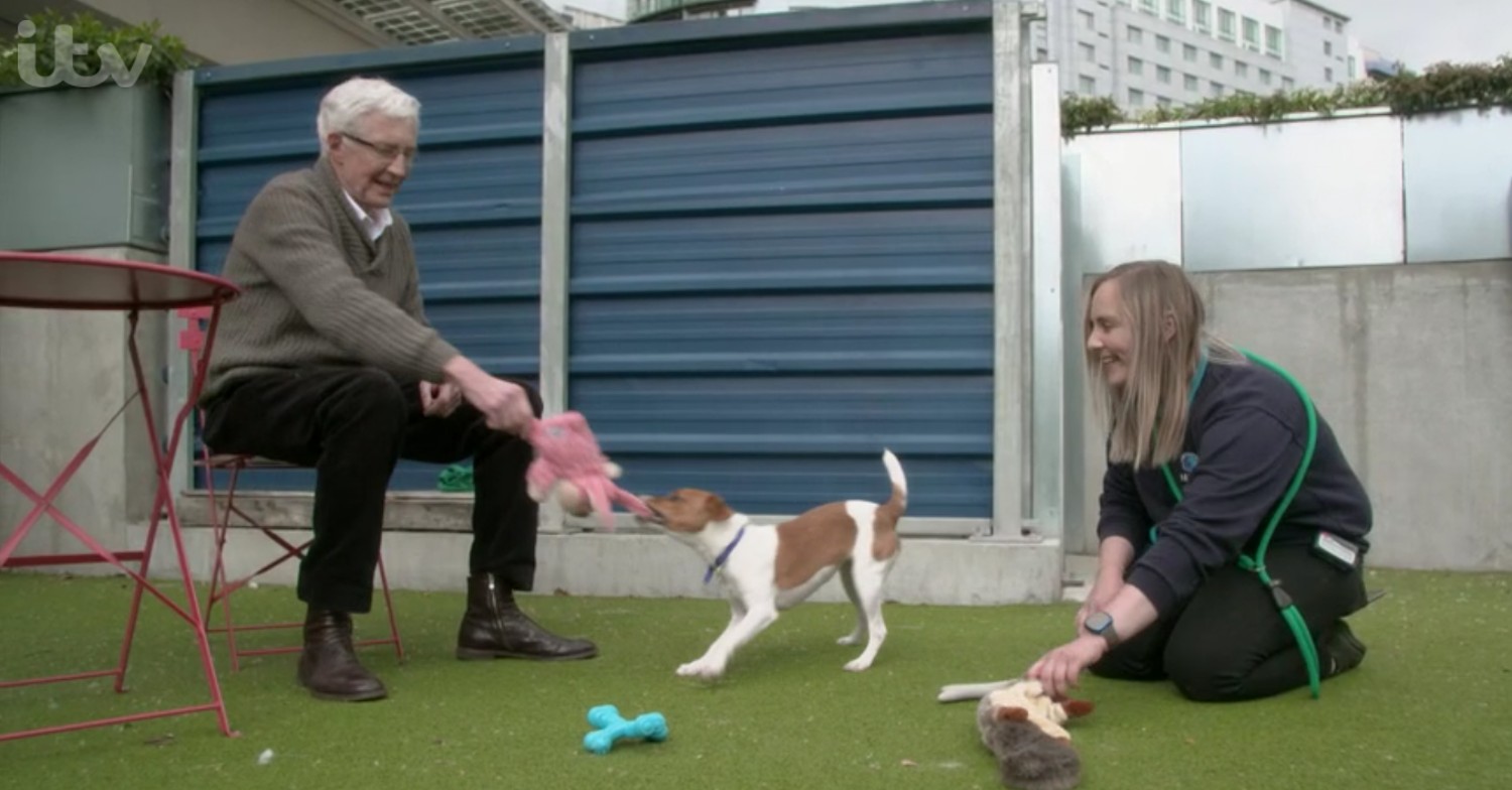 Paul O'Grady on For The Love Of Dogs
