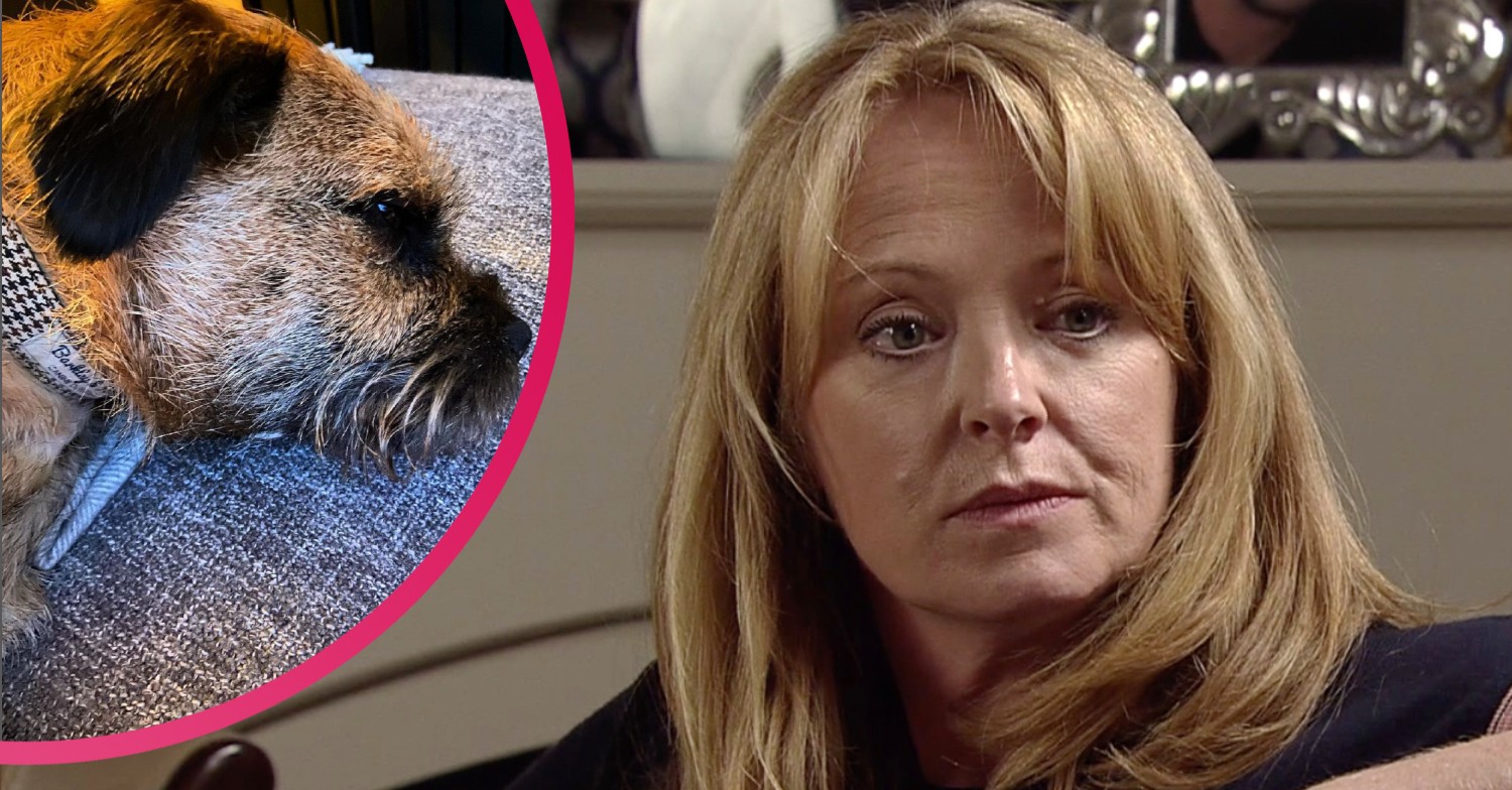 sally ann matthews issues please about her dog